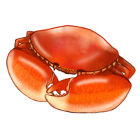 Steamed Crab seafood png