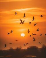 ai generativo ardiente naranja puesta de sol dramático dorado cielo a el puesta de sol antecedentes con aves volador foto