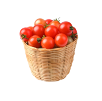 le branche de Cerise tomates dans panier sur transparent png