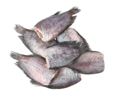 Sun dried fish, SnakeSkin Gourami Fish, Pla Salit Trichogaster pectoralis on transparent png. Top view png