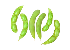 Green soy beans on transparent png. Top view. png