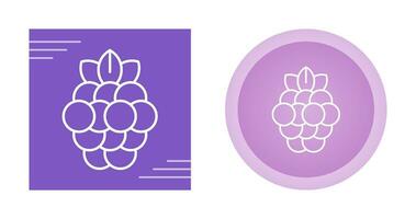 Raspberry Vector Icon