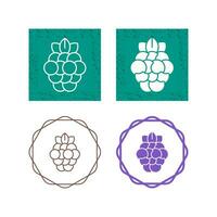 Raspberry Vector Icon