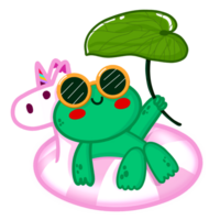 Summer Cute Frog png