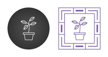 Plant Vector Icon