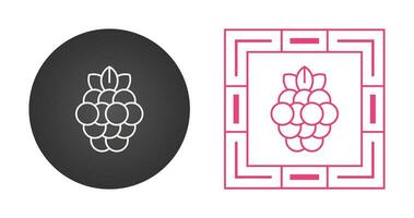 Raspberry Vector Icon