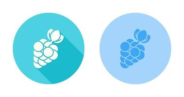 Berries Vector Icon