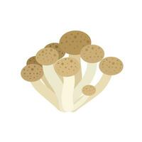 Vector illustration, group of shimeji mushrooms, isolated on white background.