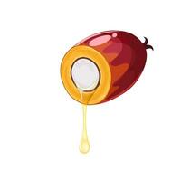 Vector illustration, palm oil seed, with dripping oil, isolated on white background.