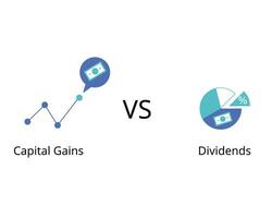 difference of capital gain compare with dividends of how you receive the profit return vector