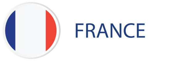 Frankrijk vlag in web knop, knop icoon. png