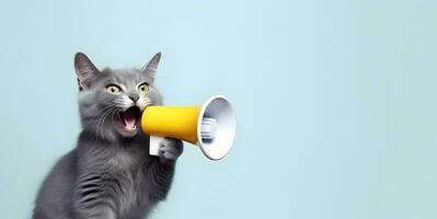 Cat announcing using hand speaker. Notifying, warning, announcement photo