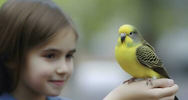 Cute budgie chick on the hand of little girl.  Concept of pet bird. photo