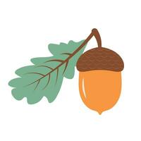 bellota con roble hoja. vector plano dibujos animados icono. bosque, naturaleza, otoño concepto.