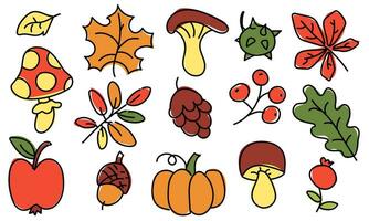 Vector set of cartoon colored doodles on the theme of autumn leaves, vegetables, fruits. Autumn nature, objects and symbols. Contour drawing with color on a white background