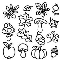 Vector set of cartoon doodles on the theme of autumn leaves, vegetables, fruits. Autumn nature, objects and symbols. Contour doodle on a white background