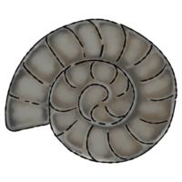 ammonite fossile arte cartone animato png