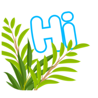 Hi and green leaf nature scene png