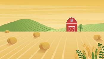 Rural landscape with farmhouse. Autumn background with wheat fields. Vector illustration in flat style