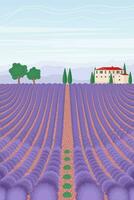 Lavender field landscape. Summer vertical background. Vector illustration in flat style