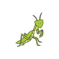 niños dibujo dibujos animados vector ilustración mantis icono aislado en blanco antecedentes
