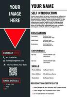 Stunning Modern CV Resume Design. Stand apart from the crowd in your interviews and make your presence felt. vector