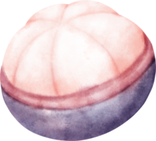 Watercolor Mangosteen illustration png