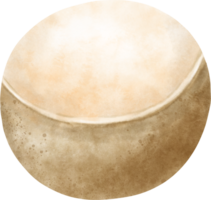 acquerello longan illustrazione png