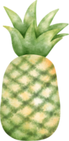 aguarela abacaxi ilustração png
