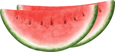 waterverf watermeloen illustratie png