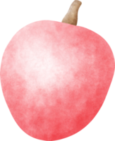 waterverf lychee illustratie png