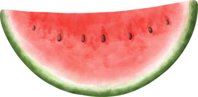 Watercolor Watermelon illustration png