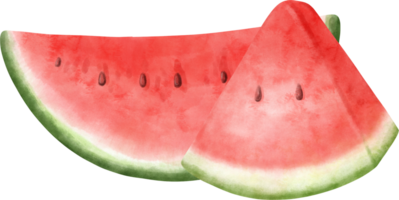 Watercolor Watermelon illustration png