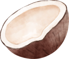 aguarela coco ilustração png