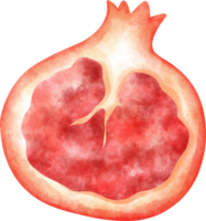 waterverf granaatappel illustratie png