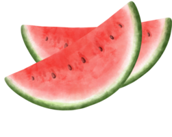 vattenfärg vattenmelon illustration png