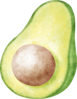 Watercolor Avocado illustration png