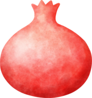 vattenfärg granatäpple illustration png