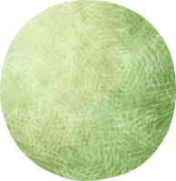 Watercolor Cantaloupe illustration png