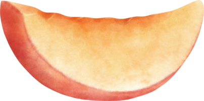 waterverf nectarine illustratie png