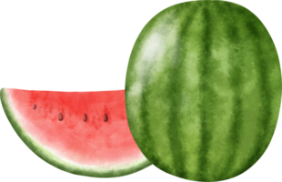 Watercolor Watermelon illustration png