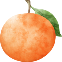 vattenfärg orange illustration png