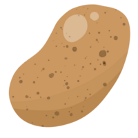 illustration av en potatis png