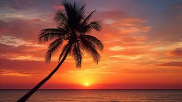 Palm tree against stunning sunset silhouette photo