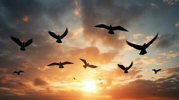 aves en el cielo volador en formación. silueta concepto foto