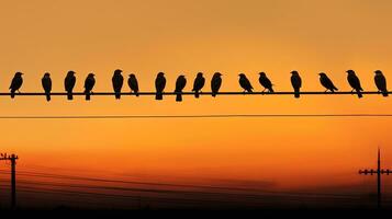 Ideal background for minimalist bird silhouette photography photo