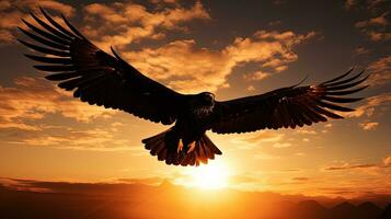 Silhouette of flying predator bird photo