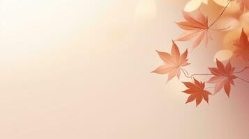 Minimalistic autumn background with maple leaf shadows on beige. silhouette concept photo