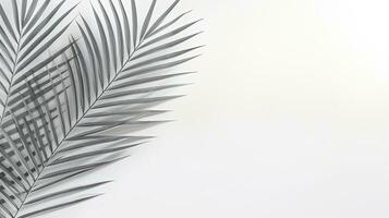 Abstract natural concept white wall with blurred palm leaf shadow Space for text overlay effect for design. silhouette concept photo