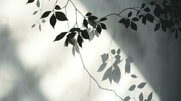 Gray walls with indistinct leaf and vine shadows. silhouette concept photo